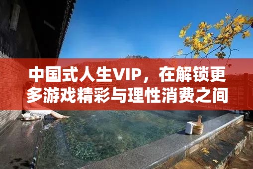 中国式人生VIP，在解锁更多游戏精彩与理性消费之间寻求平衡