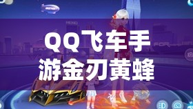 QQ飞车手游金刃黄蜂改装攻略，资源管理、高效利用技巧以实现价值最大化