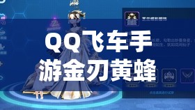 QQ飞车手游金刃黄蜂抽取攻略，12次抽取所需礼包券数量及资源管理高效避免浪费法