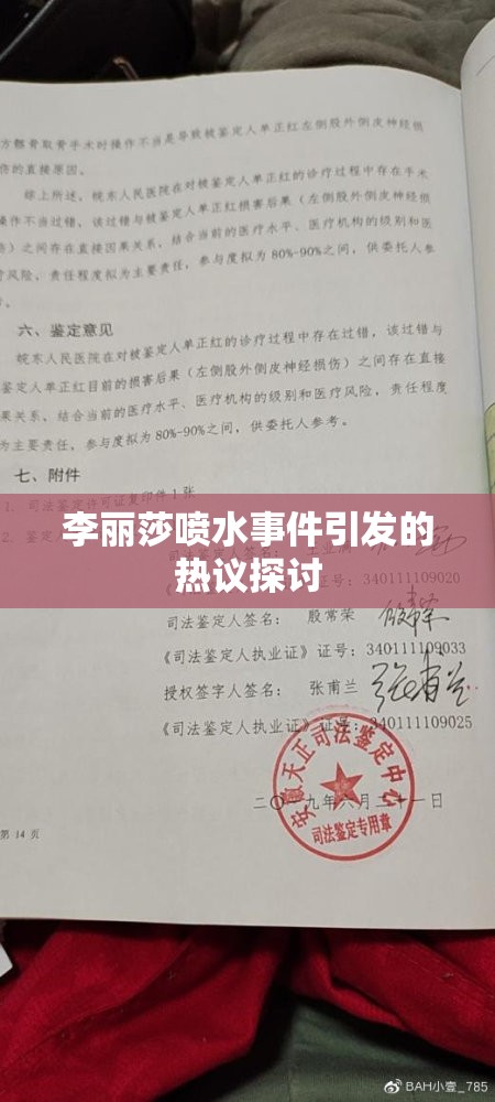 李丽莎喷水事件引发的热议探讨