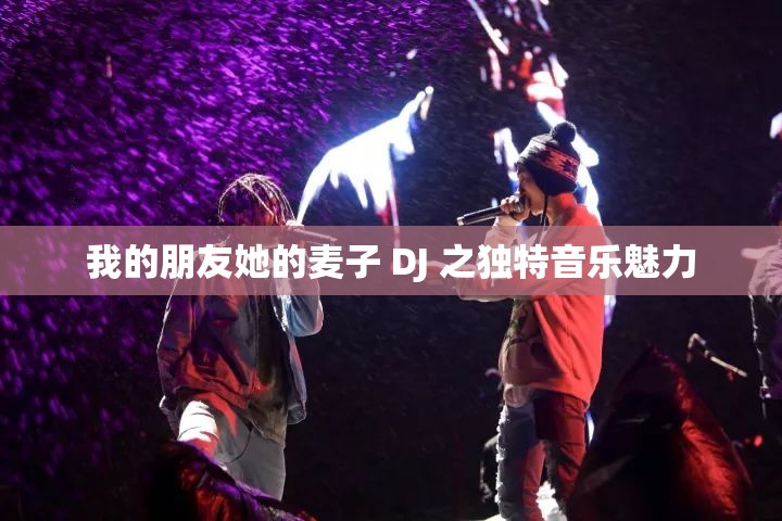 我的朋友她的麦子 DJ 之独特音乐魅力