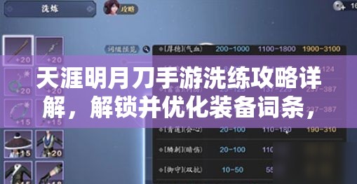 天涯明月刀手游洗练攻略详解，解锁并优化装备词条，打造职业定位最优选择