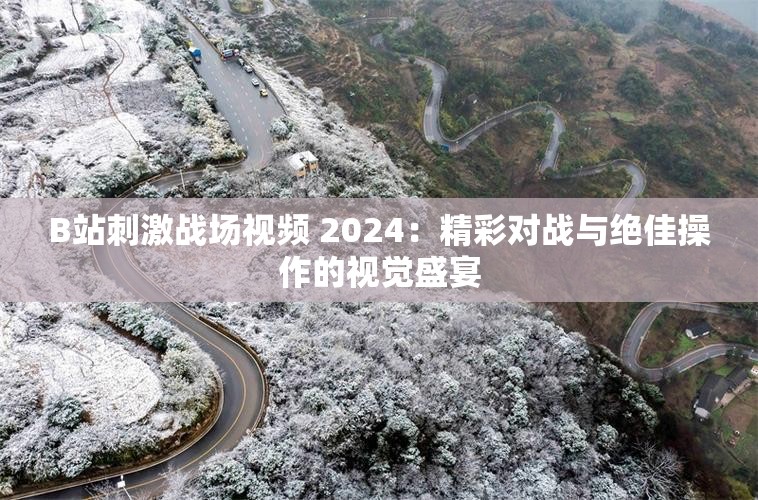 B站刺激战场视频 2024：精彩对战与绝佳操作的视觉盛宴