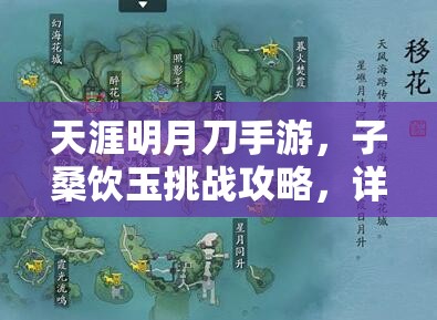 天涯明月刀手游，子桑饮玉挑战攻略，详解资源管理、实战技巧与制胜策略