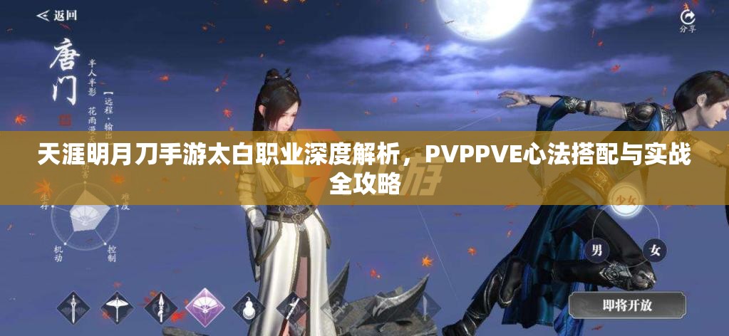 天涯明月刀手游太白职业深度解析，PVPPVE心法搭配与实战全攻略