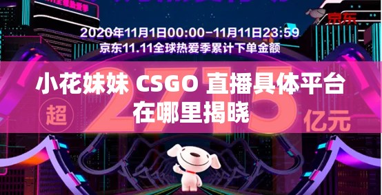 小花妹妹 CSGO 直播具体平台在哪里揭晓