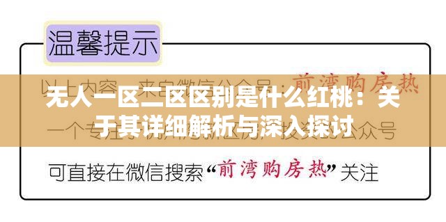 无人一区二区区别是什么红桃：关于其详细解析与深入探讨