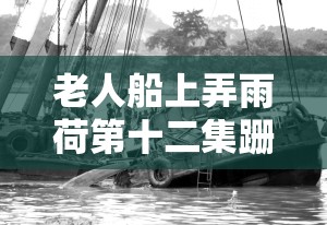 老人船上弄雨荷第十二集跚钢：后续故事发展及精彩情节呈现