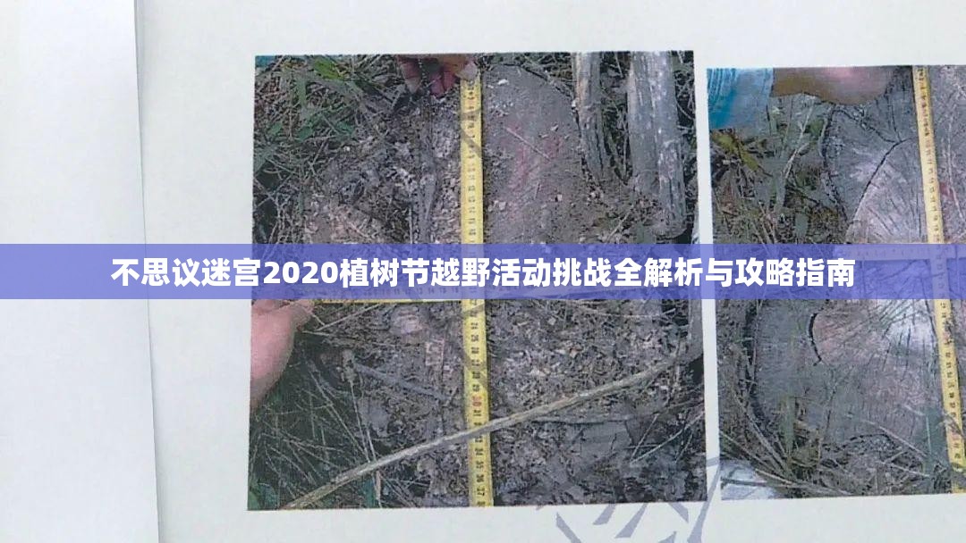 不思议迷宫2020植树节越野活动挑战全解析与攻略指南