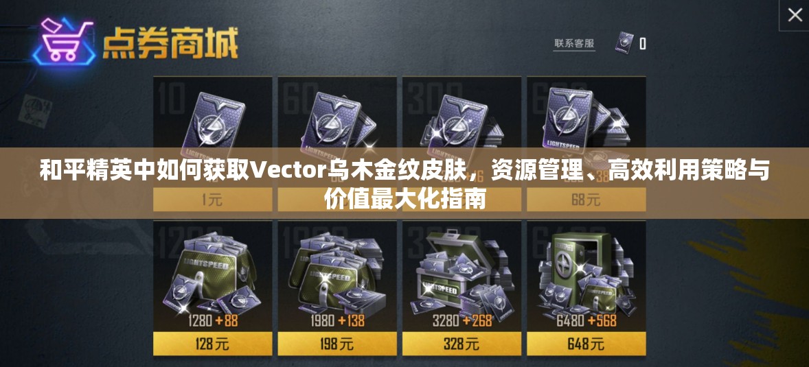 和平精英中如何获取Vector乌木金纹皮肤，资源管理、高效利用策略与价值最大化指南