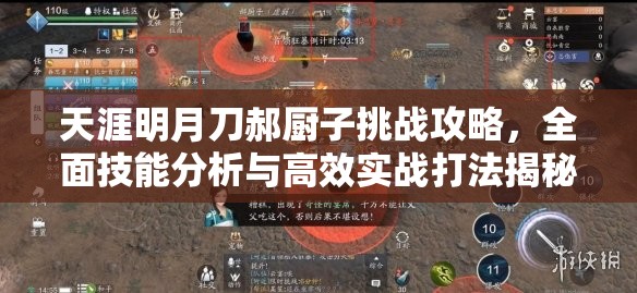 天涯明月刀郝厨子挑战攻略，全面技能分析与高效实战打法揭秘