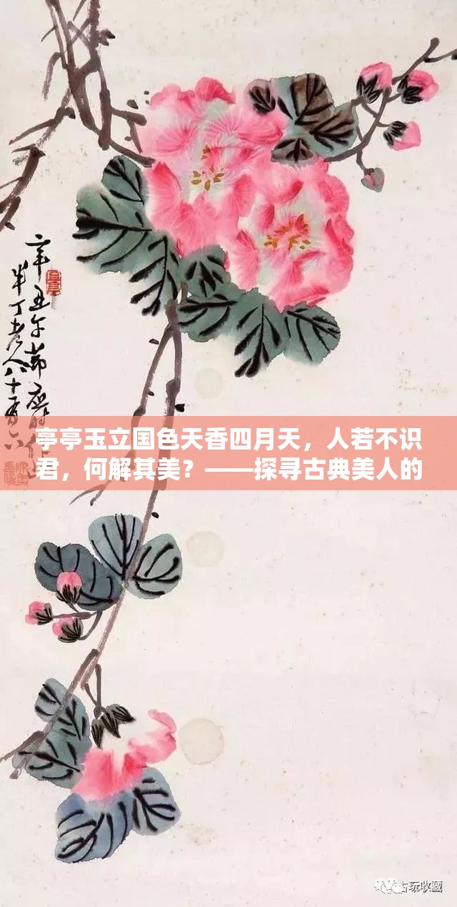 亭亭玉立国色天香四月天，人若不识君，何解其美？——探寻古典美人的现代解读