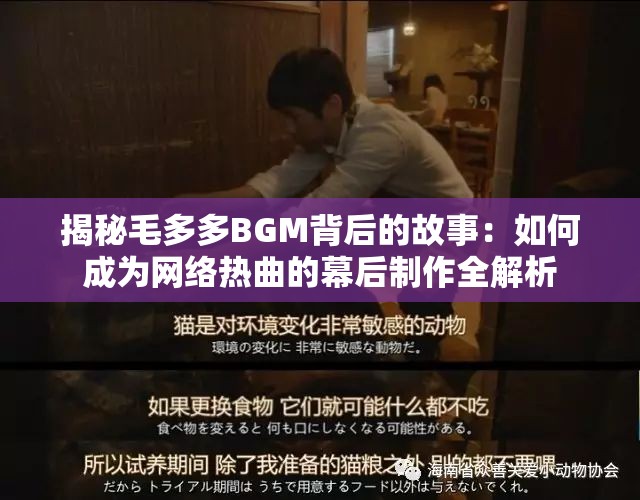 揭秘毛多多BGM背后的故事：如何成为网络热曲的幕后制作全解析