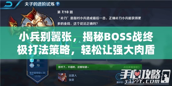 小兵别嚣张，揭秘BOSS战终极打法策略，轻松让强大肉盾BOSS无所遁形