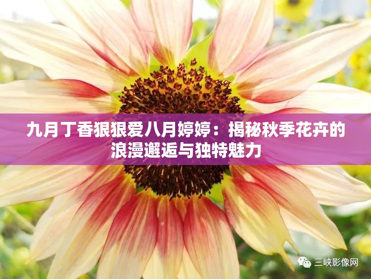 九月丁香狠狠爱八月婷婷：揭秘秋季花卉的浪漫邂逅与独特魅力