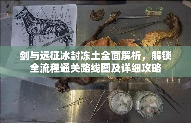 剑与远征冰封冻土全面解析，解锁全流程通关路线图及详细攻略