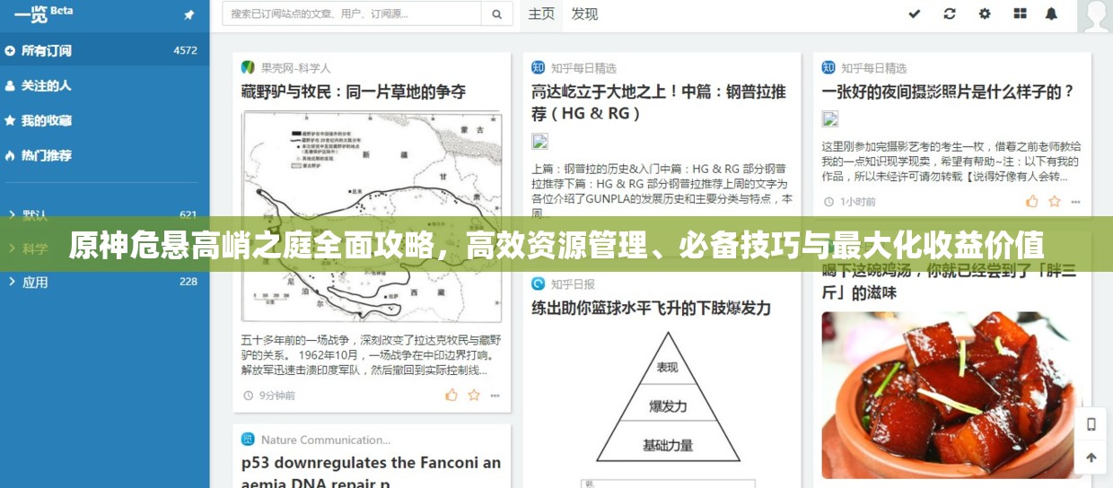 原神危悬高峭之庭全面攻略，高效资源管理、必备技巧与最大化收益价值