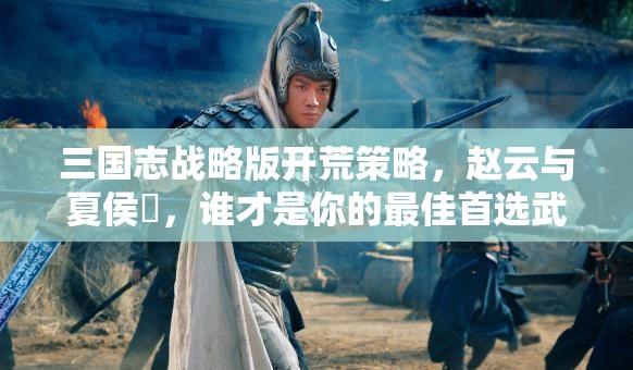 三国志战略版开荒策略，赵云与夏侯惇，谁才是你的最佳首选武将？