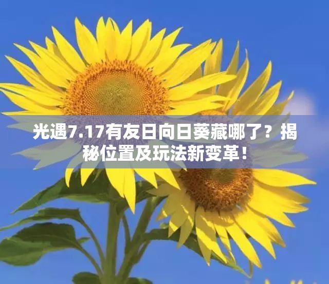 光遇7.17有友日向日葵藏哪了？揭秘位置及玩法新变革！