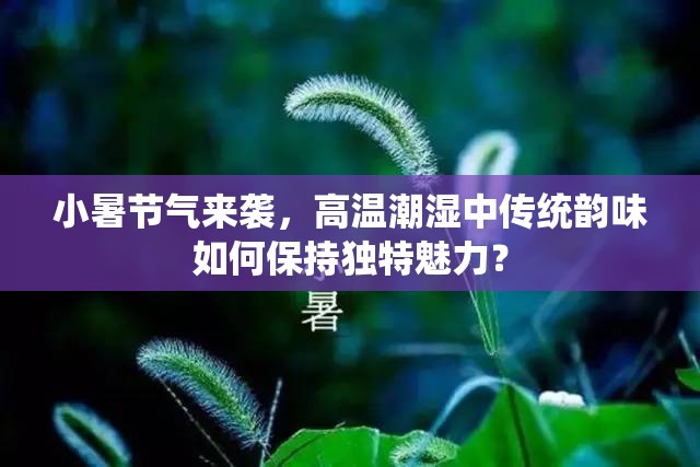 小暑节气来袭，高温潮湿中传统韵味如何保持独特魅力？