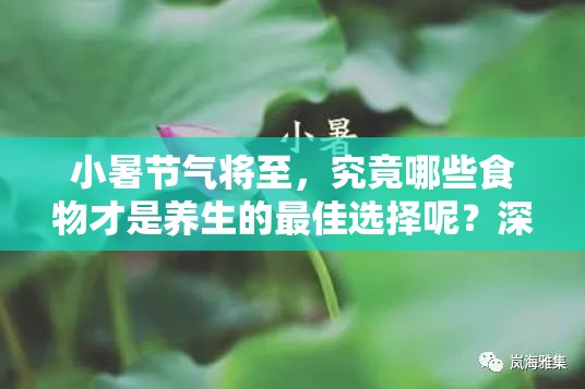 小暑节气将至，究竟哪些食物才是养生的最佳选择呢？深度解析来了！