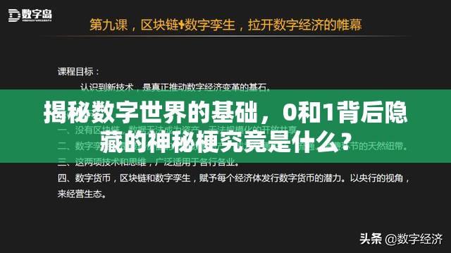 揭秘数字世界的基础，0和1背后隐藏的神秘梗究竟是什么？