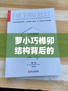 萝小巧榫卯结构背后的工匠传奇究竟何在？桃源深处萝卜谜语待解！