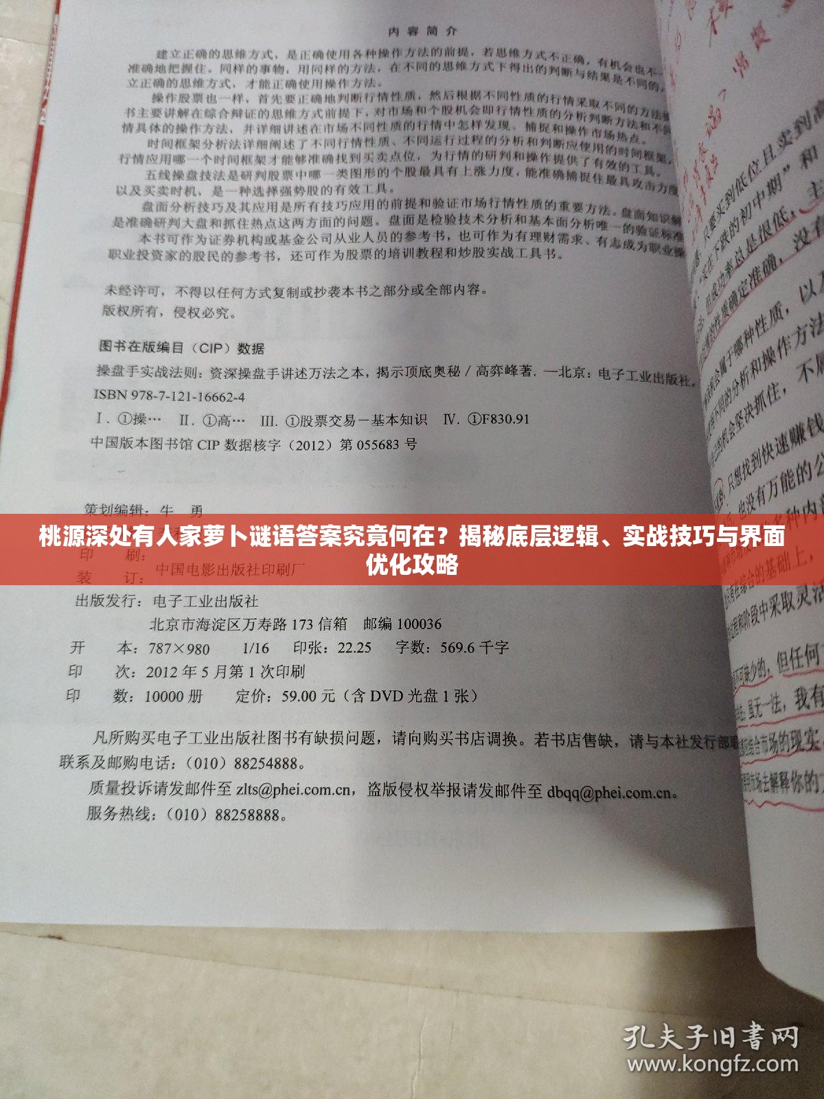 桃源深处有人家萝卜谜语答案究竟何在？揭秘底层逻辑、实战技巧与界面优化攻略