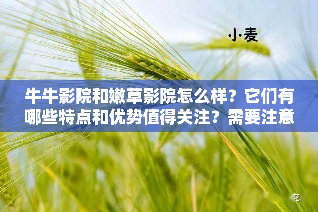 牛牛影院和嫩草影院怎么样？它们有哪些特点和优势值得关注？需要注意的是，这类影院可能涉及未经授权的盗版资源，使用和推广此类影院是不合法的行为我们应当支持正版，维护良好的版权环境