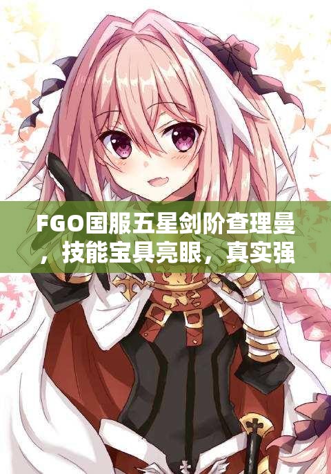 FGO国服五星剑阶查理曼，技能宝具亮眼，真实强度究竟如何？