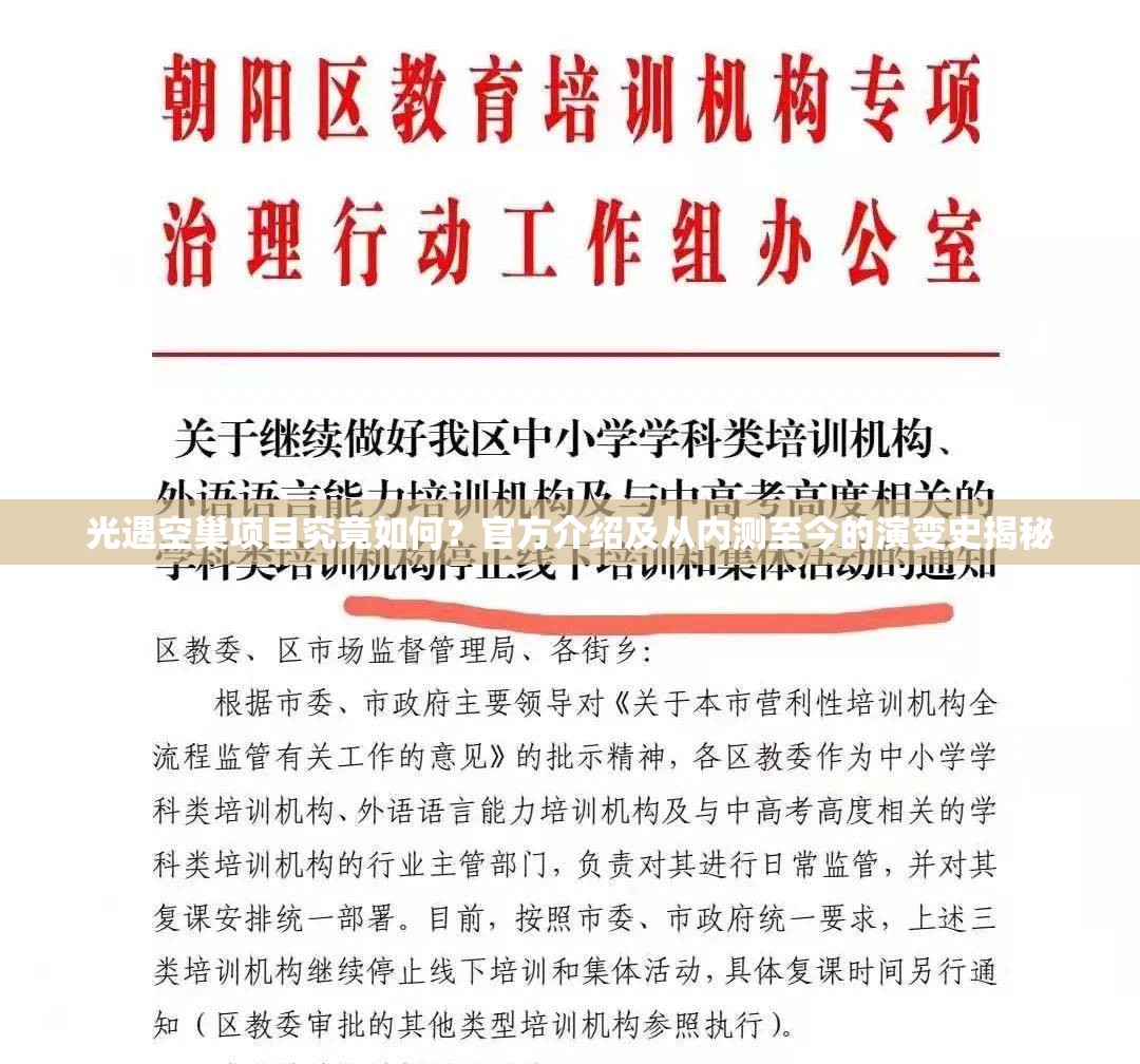 光遇空巢项目究竟如何？官方介绍及从内测至今的演变史揭秘