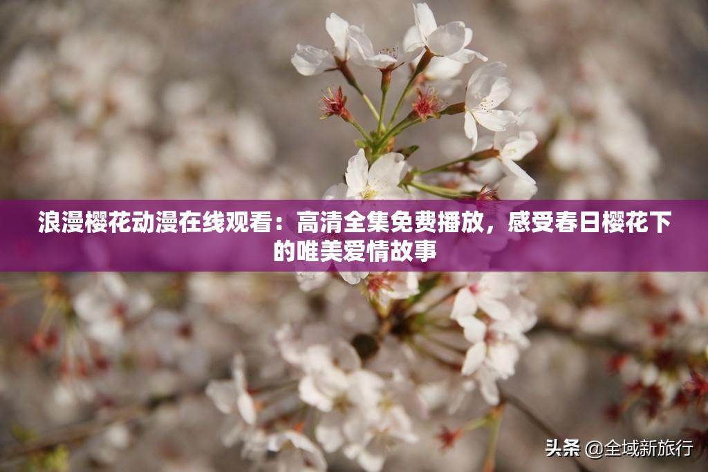 浪漫樱花动漫在线观看：高清全集免费播放，感受春日樱花下的唯美爱情故事