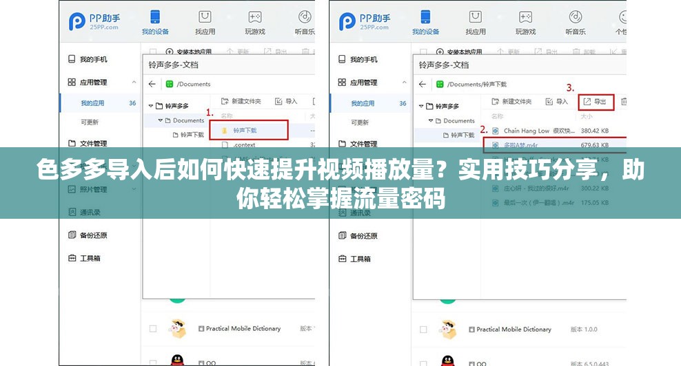 色多多导入后如何快速提升视频播放量？实用技巧分享，助你轻松掌握流量密码