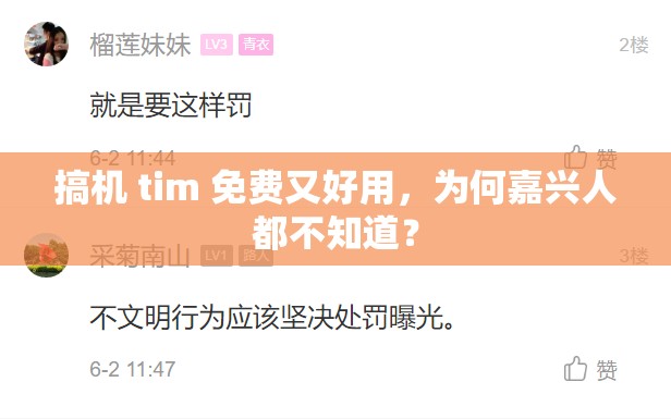 搞机 tim 免费又好用，为何嘉兴人都不知道？