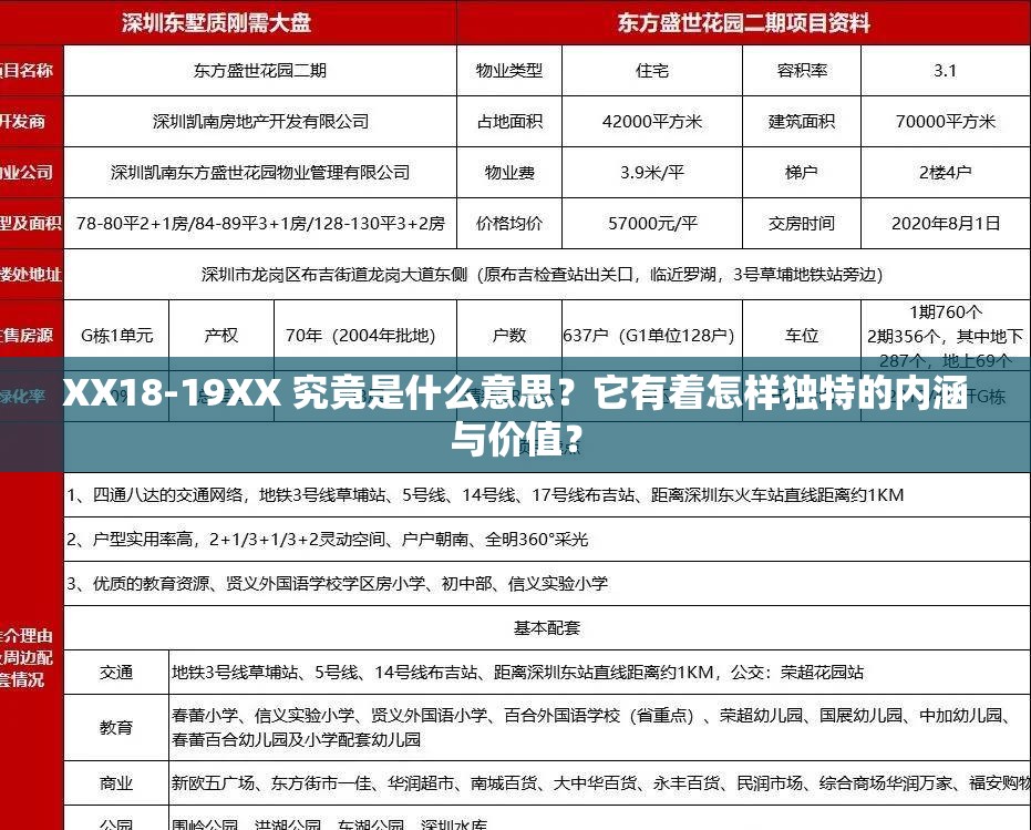 XX18-19XX 究竟是什么意思？它有着怎样独特的内涵与价值？