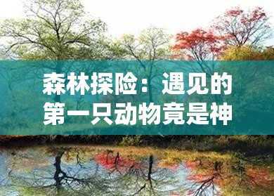 森林探险：遇见的第一只动物竟是神秘狐狸，揭秘它的生活习性与栖息地