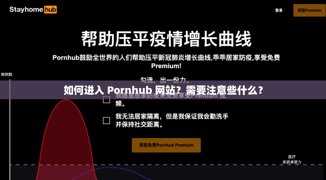 如何进入 Pornhub 网站？需要注意些什么？