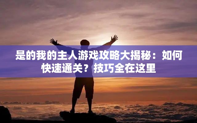 是的我的主人游戏攻略大揭秘：如何快速通关？技巧全在这里