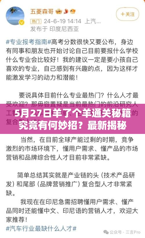 5月27日羊了个羊通关秘籍究竟有何妙招？最新揭秘引发玩家热议！