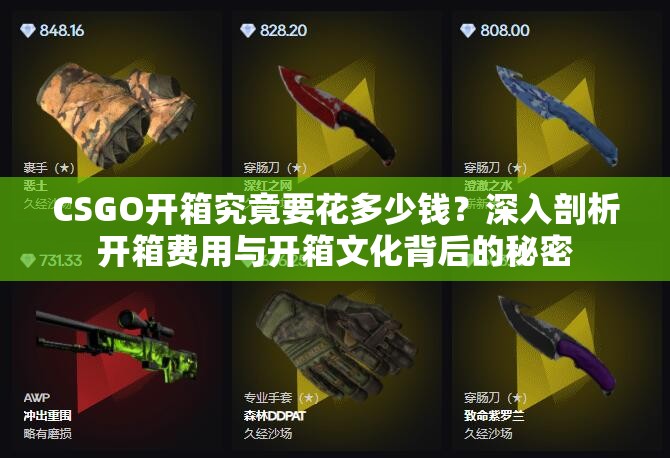 CSGO开箱究竟要花多少钱？深入剖析开箱费用与开箱文化背后的秘密