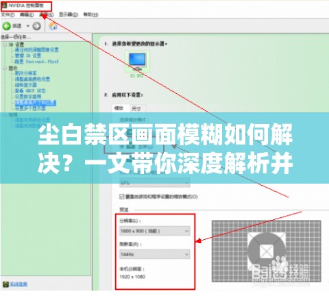 尘白禁区画面模糊如何解决？一文带你深度解析并找到最佳处理方式