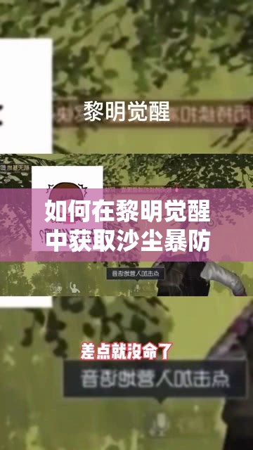 如何在黎明觉醒中获取沙尘暴防护服并高效管理资源？