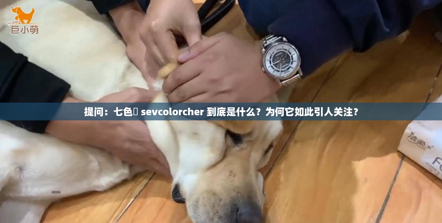 提问：七色師 sevcolorcher 到底是什么？为何它如此引人关注？