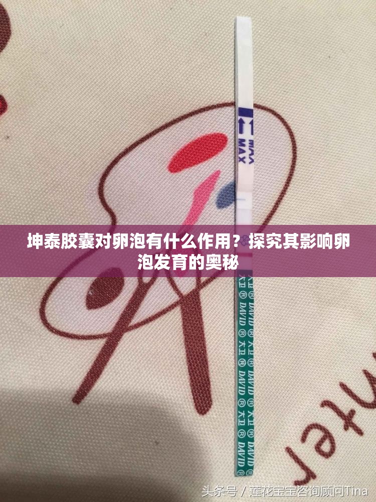 坤泰胶囊对卵泡有什么作用？探究其影响卵泡发育的奥秘