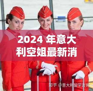 2024 年意大利空姐最新消息，你想知道的都在这里