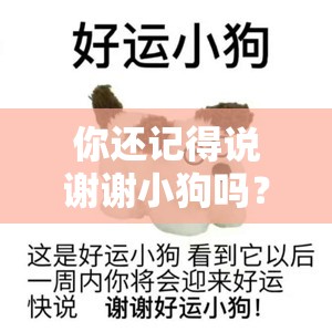 你还记得说谢谢小狗吗？探究网络梗背后的温情传递与表情包狂欢！