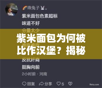 紫米面包为何被比作汉堡？揭秘网络热门梗及歌词攻略