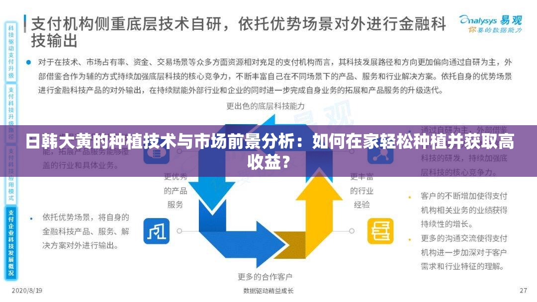 日韩大黄的种植技术与市场前景分析：如何在家轻松种植并获取高收益？