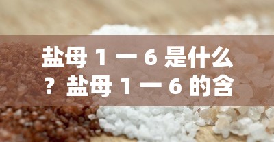 盐母 1 一 6 是什么？盐母 1 一 6 的含义与特点有哪些？