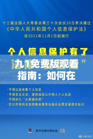 九1免费版观看指南：如何在合法平台上安全流畅地享受高清视频体验？